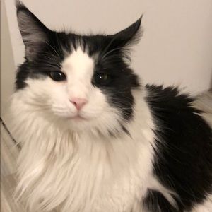 Meet your Posher, Kyle